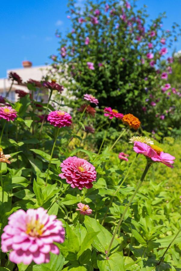 Apartment Garden M&M Dubrovnik Luaran gambar